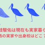 横尾渉の実家住所は横浜市 出身校や兄弟についても徹底解説